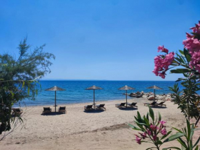 Filokalia Seaside